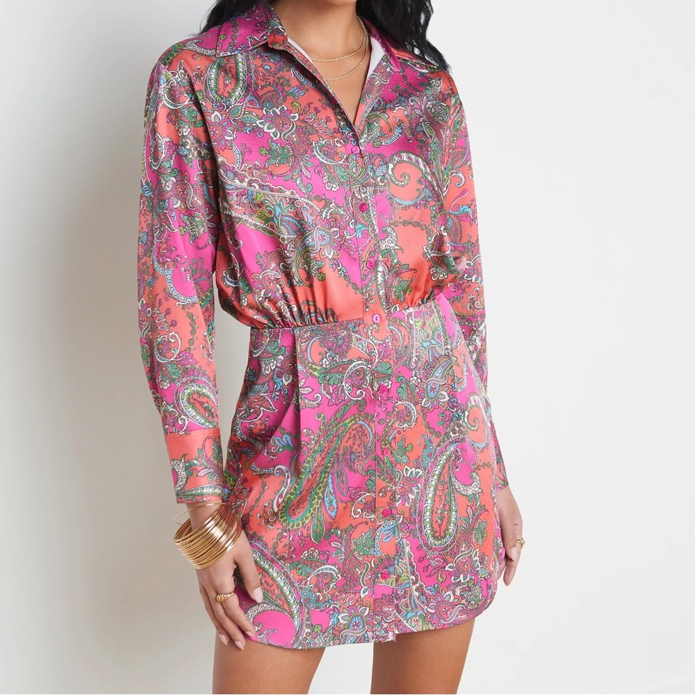 L'AGENCE Demetria Mini Shirt Dress 8